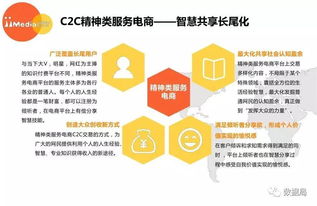 教育與精神消費雙驅動 2017上半年中國精神類服務電商市場發展洞察